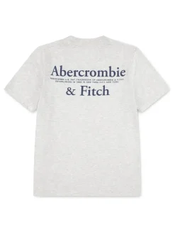 Gris - T-shirt Abercrombie & Fitch Foothills à logo à manches longues avec graphique au dos