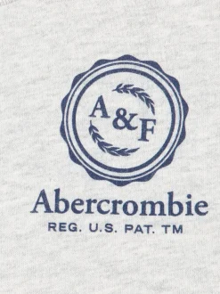 Gris - T-shirt Abercrombie & Fitch Foothills à logo à manches longues avec graphique au dos
