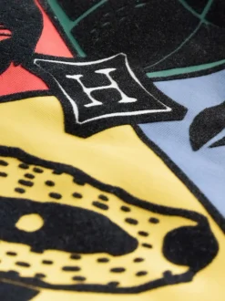 Gris/bleu Harry Potter - Pyjama à permis unique (4à16ans)