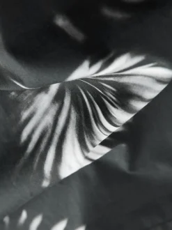 Mono imprimé fleuri - Chemise imprimée Manches courtes (3-16ans)