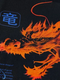 Noir/Orange Dragon - T-shirt imprimé régulier à manches courtes (3-16ans)