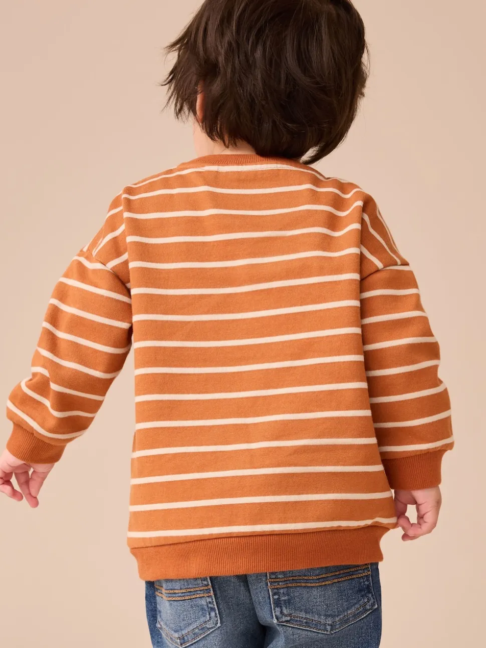 Ours brun fauve à rayures écrues - Sweat imprimé All-over Col rond (3mois -7ans)