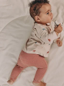 Petit ours minéral - Hauts et leggings bébé Ensemble 8 pièces (0mois-2ans)