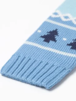 Pull de Noël Vanilla Underground Bluey