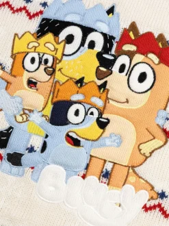 Pull de Noël Vanilla Underground Bluey