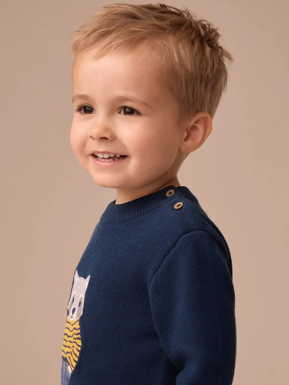 Raton laveur bleu marine - Pull tricoté (3mths-7yrs)