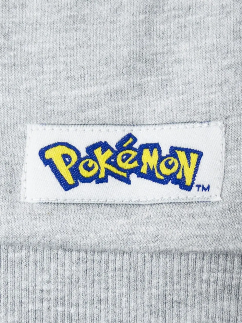 Sweat à capuche Vanilla Underground Pokémon imprimé Garçons
