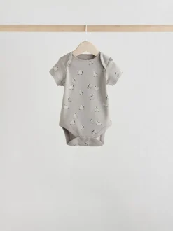 Zèbre gris - Lot de bodys à manches courtes pour bébé 100% coton 5