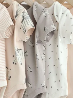 Zèbre gris - Lot de bodys à manches courtes pour bébé 100% coton 5